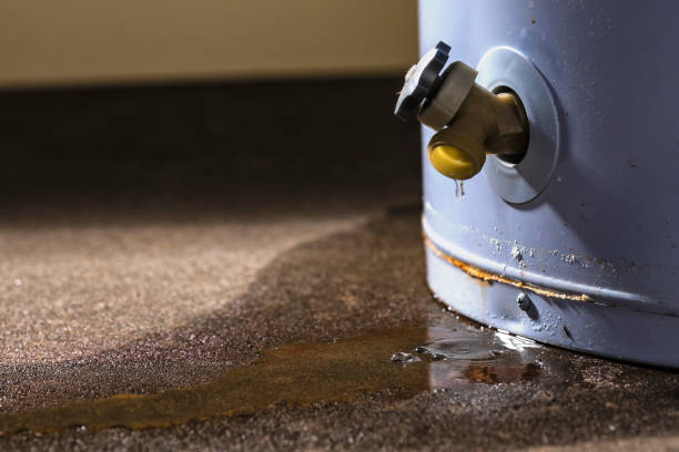 Best Water damage restoration services  in Jefferson, OH