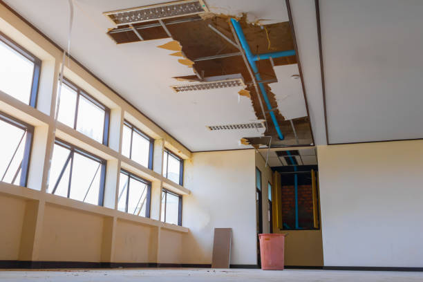 Best Water damage restoration near me  in Jefferson, OH