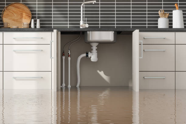 Best Basement water damage restoration  in Jefferson, OH